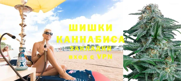 мдпв Володарск